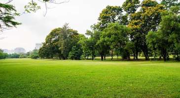 Park Mira