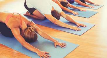 Yoga eğitimlerine katılın