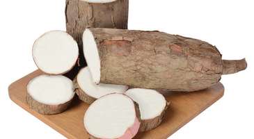 Yuca