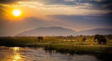 Zambezi Ulusal Parkı’nı gezin 