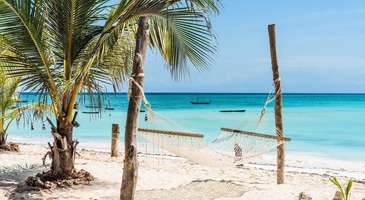 Zanzibar plajlarında güneşlenin 