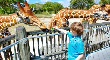 Zoologico de Cali’de vakit geçirin