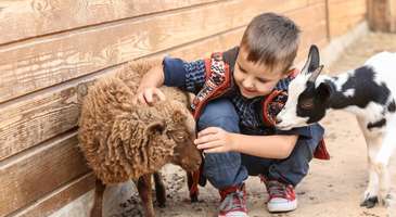 Zookutochok Hayvanat Bahçesi’ni gezin