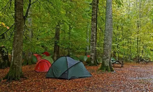 Samsun'un En Güzel Kamp Alanları | En Popüler 15 Yer (2024) | ENUYGUN