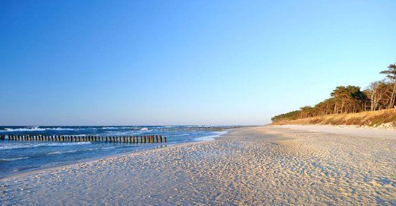 Klaipeda/Palanga'da Yapılacaklar