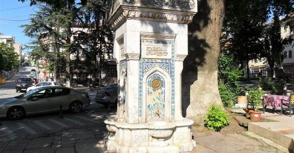 Söğüt'te Yapılacaklar