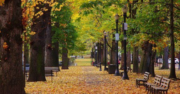 Portland'da Yapılacaklar