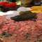 Filet Americaine