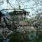 Ueno Park