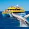 Whale Watch Cruises: