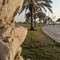 Dammam Cornishe’de piknik yapın