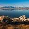 Great Salt Lake’i görün