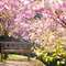 Sakura Parkı ve Sakura Kalesi’nin tarih kokan atmosferinde gezinin