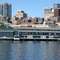 Seattle Akvaryum’da zengin sualtı dünyasını keşfedin