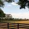 Southfork Çiftliği’ni görün 