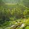 Ubud