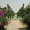 Le Jardin d’Essai du Hamma
