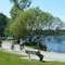 Green Lake Park