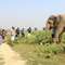 Wildlife SOS