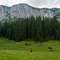 Trekking veya tırmanış yapın