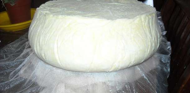 Asiago