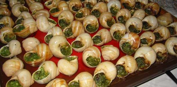 Salyangoz