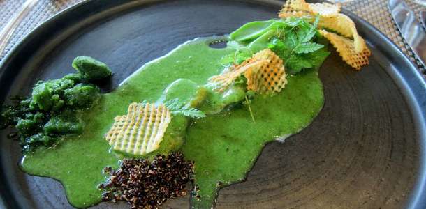 Anguille au vert
