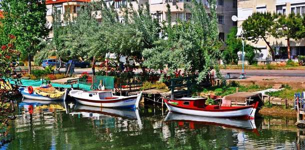 Zeytinli