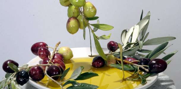 Zeytin