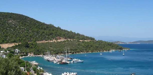 Torba