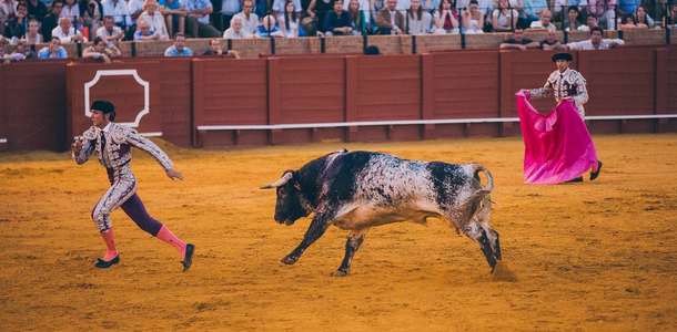 Plaza de Toros