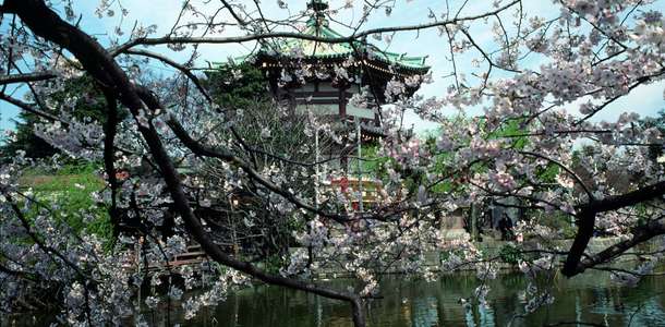 Ueno Park