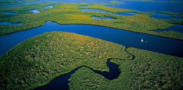 Everglades Ulusal Parkı: