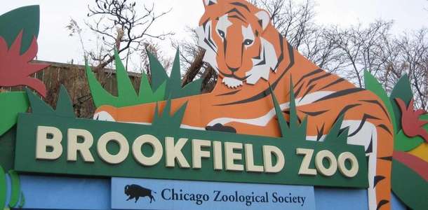 Brookfield Zoo