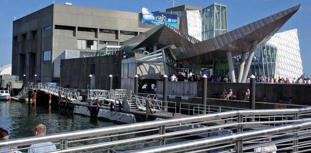 New England Aquarium: