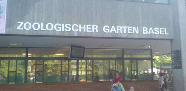 Basler Zoologischer Garten: (Hayvanat Bahçesi)