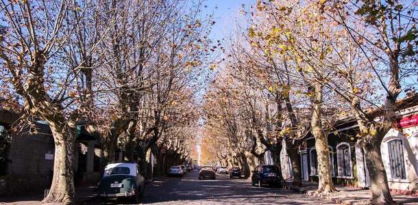 Colonia şehrini ziyaret edin