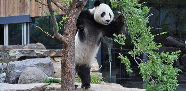 Adelaide Hayvanat Bahçesi’nde harika bir gün geçirin  