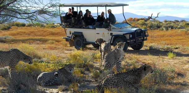 Günübirlik Afrika Safari Turları