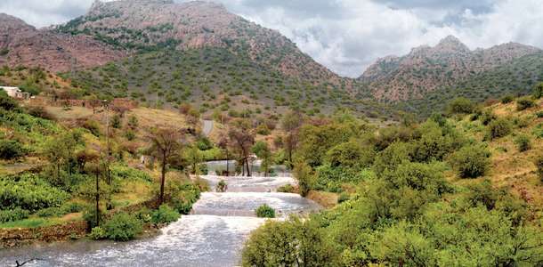 Al Shafa