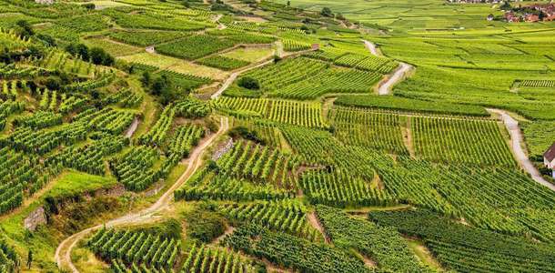 Alsace Ecomusée d'Alsace’de bir gün geçirin