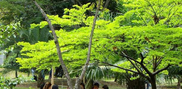 Medellin Botanik Parkı
