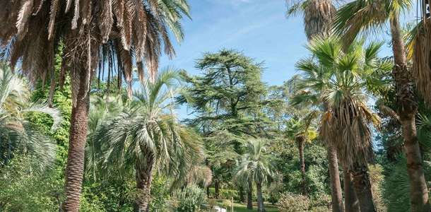 Arboretum Botanik Bahçesi