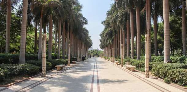 Asmara’nın parklarını ve bahçelerini dolaşın  