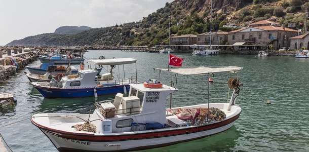 Tekne turuna çıkın