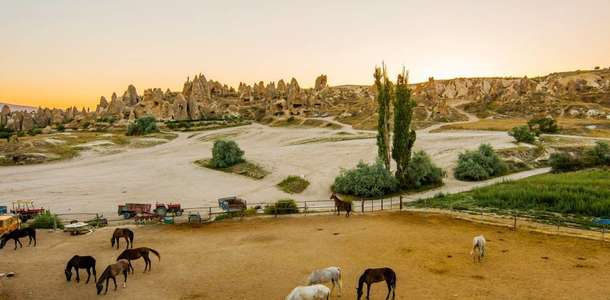 ATV ve atlarla safariye çıkın   