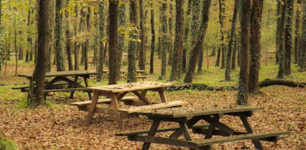 Avcıkoru Tabiat Parkı