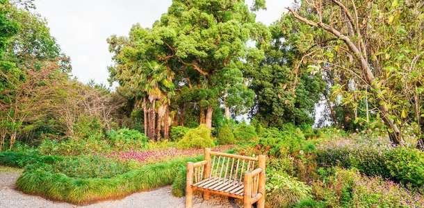 Yemyeşil parklarında oturun