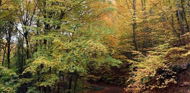 Sağlık ve şifa dolu bir tatil yapın  