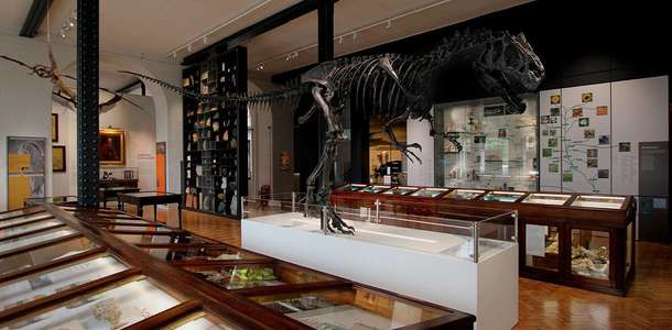 Lapworth Jeoloji Müzesi’ne gidin